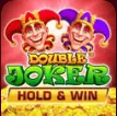 Double Joker Hold and Win