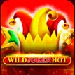 Wild Joker Hot