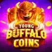 Young Buffalo Coins